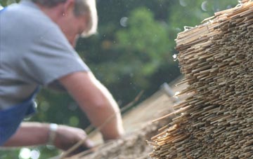 professional Evedon thatchers