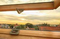 rated Evedon roof window companies
